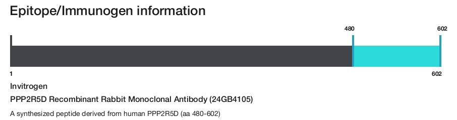 PPP2R5D Recombinant Rabbit Monoclonal Antibody (24GB4105)