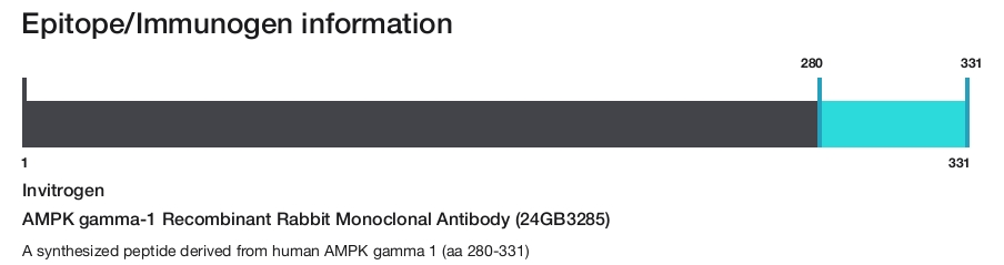 AMPK gamma-1 Recombinant Rabbit Monoclonal Antibody (24GB3285)
