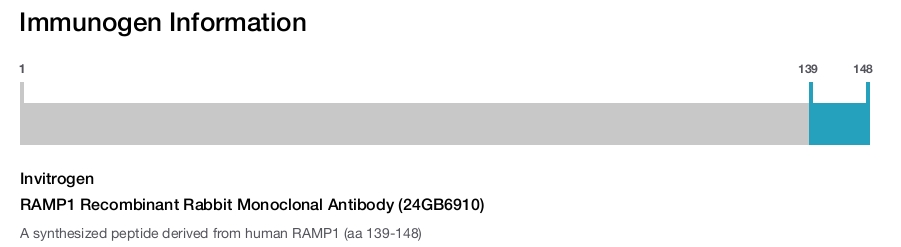 RAMP1 Recombinant Rabbit Monoclonal Antibody (24GB6910)