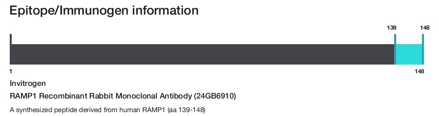 RAMP1 Recombinant Rabbit Monoclonal Antibody (24GB6910)