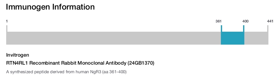 RTN4RL1 Recombinant Rabbit Monoclonal Antibody (24GB1370)