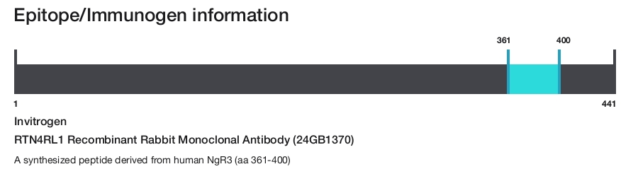 RTN4RL1 Recombinant Rabbit Monoclonal Antibody (24GB1370)