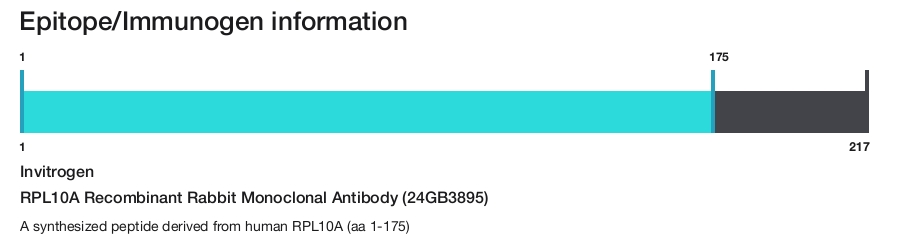 RPL10A Recombinant Rabbit Monoclonal Antibody (24GB3895)
