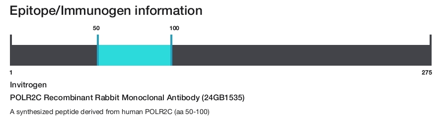 POLR2C Recombinant Rabbit Monoclonal Antibody (24GB1535)