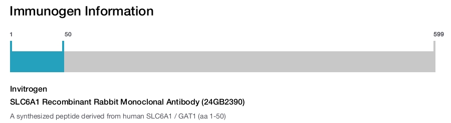 SLC6A1 Recombinant Rabbit Monoclonal Antibody (24GB2390)