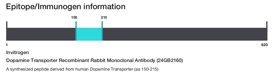 Dopamine Transporter Recombinant Rabbit Monoclonal Antibody (24GB2160)