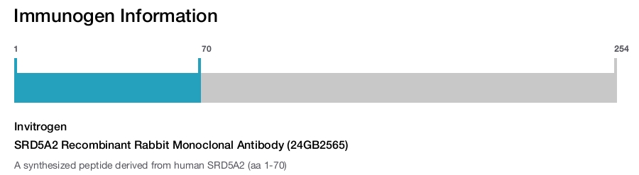 SRD5A2 Recombinant Rabbit Monoclonal Antibody (24GB2565)