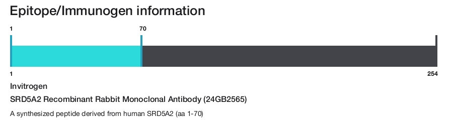 SRD5A2 Recombinant Rabbit Monoclonal Antibody (24GB2565)