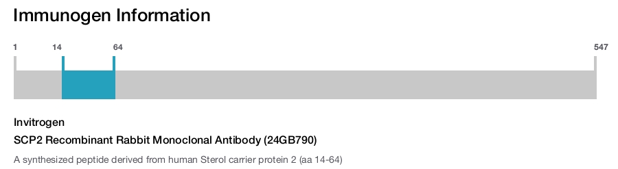 SCP2 Recombinant Rabbit Monoclonal Antibody (24GB790)