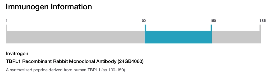 TBPL1 Recombinant Rabbit Monoclonal Antibody (24GB4060)