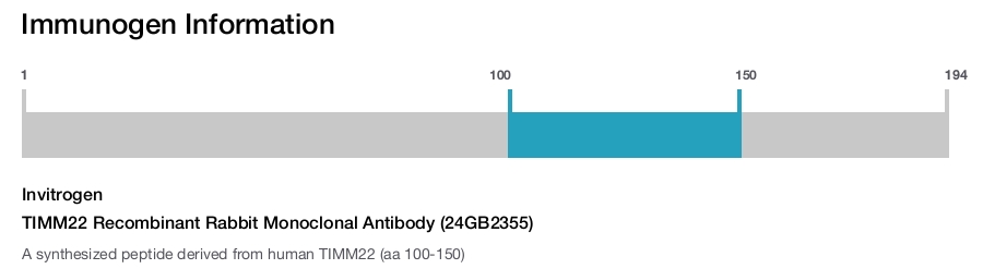 TIMM22 Recombinant Rabbit Monoclonal Antibody (24GB2355)