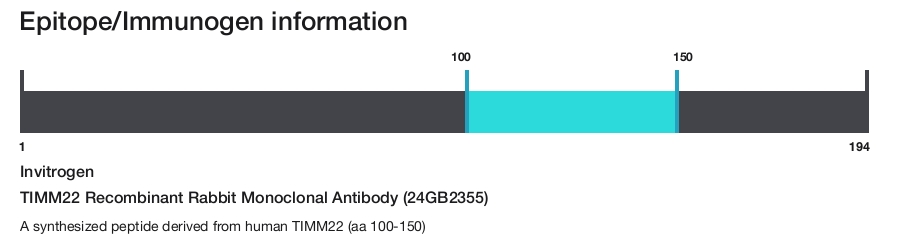 TIMM22 Recombinant Rabbit Monoclonal Antibody (24GB2355)