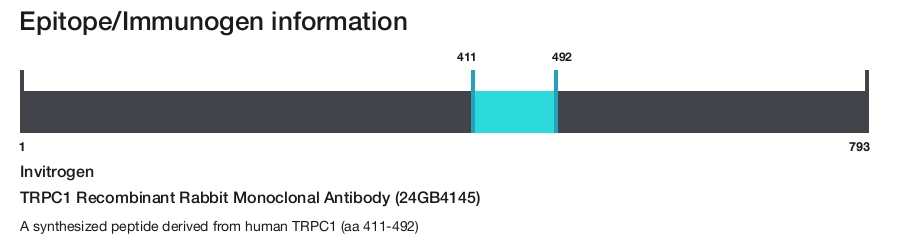 TRPC1 Recombinant Rabbit Monoclonal Antibody (24GB4145)