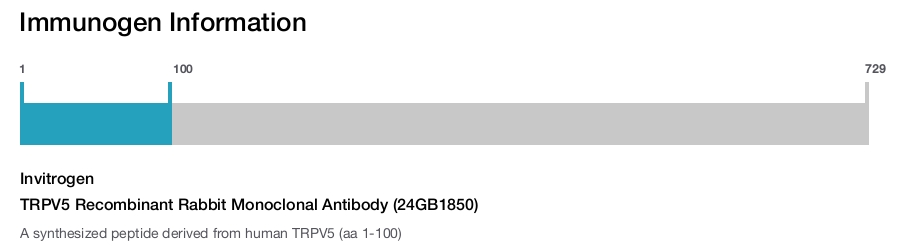 TRPV5 Recombinant Rabbit Monoclonal Antibody (24GB1850)