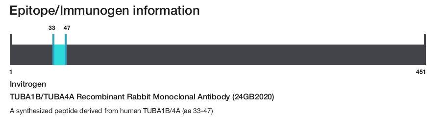 TUBA1B/TUBA4A Recombinant Rabbit Monoclonal Antibody (24GB2020)