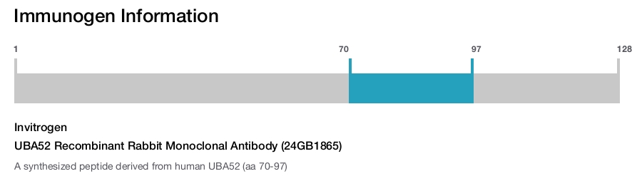 UBA52 Recombinant Rabbit Monoclonal Antibody (24GB1865)