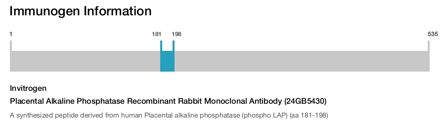 Placental Alkaline Phosphatase Recombinant Rabbit Monoclonal Antibody (24GB5430)
