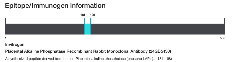 Placental Alkaline Phosphatase Recombinant Rabbit Monoclonal Antibody (24GB5430)