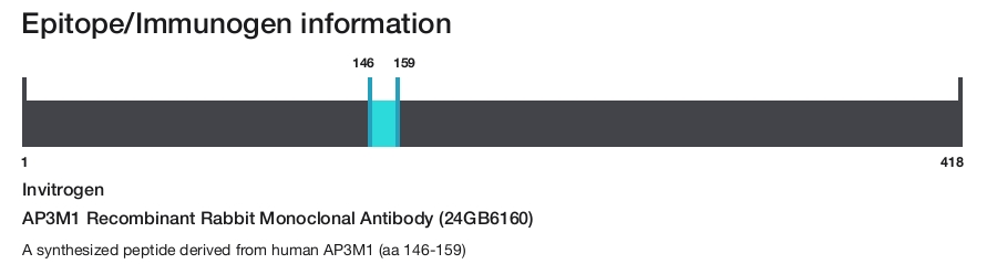 AP3M1 Recombinant Rabbit Monoclonal Antibody (24GB6160)