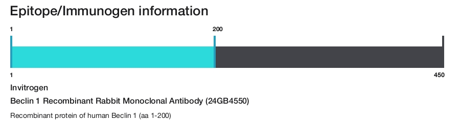 Beclin 1 Recombinant Rabbit Monoclonal Antibody (24GB4550)