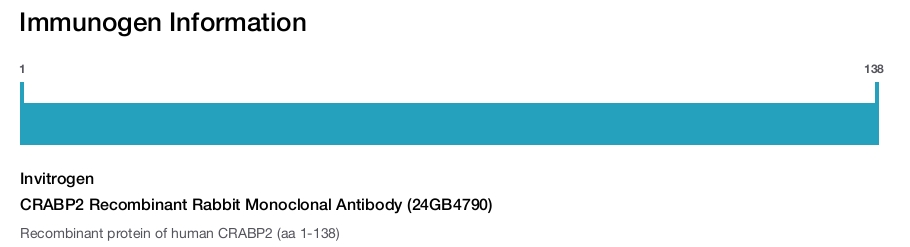 CRABP2 Recombinant Rabbit Monoclonal Antibody (24GB4790)