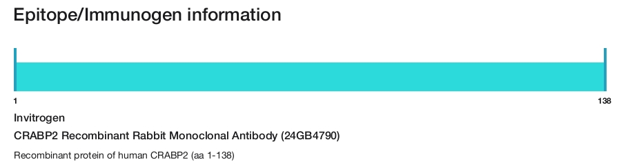 CRABP2 Recombinant Rabbit Monoclonal Antibody (24GB4790)