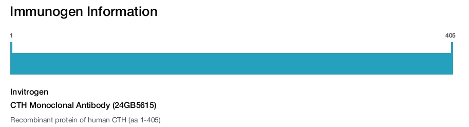 CTH Monoclonal Antibody (24GB5615)
