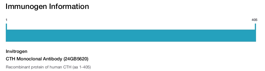 CTH Monoclonal Antibody (24GB5620)