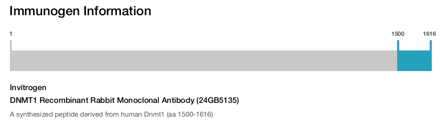 DNMT1 Recombinant Rabbit Monoclonal Antibody (24GB5135)