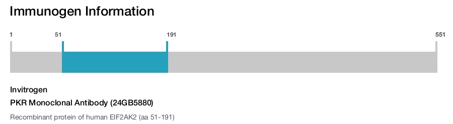 PKR Monoclonal Antibody (24GB5880)