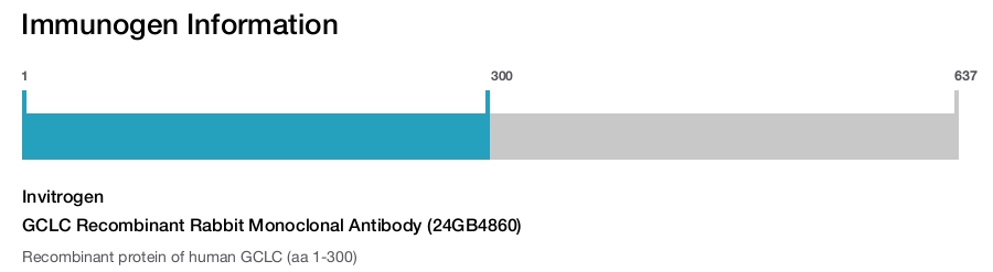 GCLC Recombinant Rabbit Monoclonal Antibody (24GB4860)