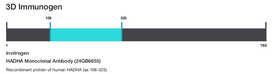HADHA Monoclonal Antibody (24GB6655)