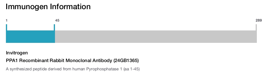 PPA1 Recombinant Rabbit Monoclonal Antibody (24GB1365)