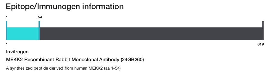 MEKK2 Recombinant Rabbit Monoclonal Antibody (24GB260)