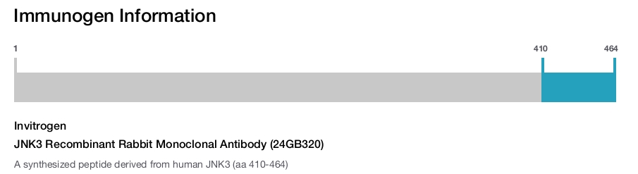 JNK3 Recombinant Rabbit Monoclonal Antibody (24GB320)