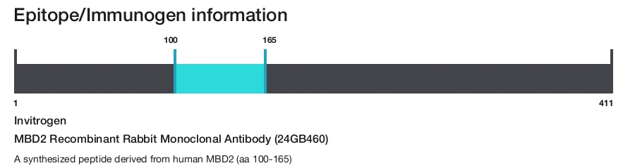 MBD2 Recombinant Rabbit Monoclonal Antibody (24GB460)