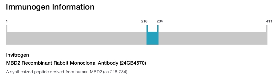 MBD2 Recombinant Rabbit Monoclonal Antibody (24GB4570)