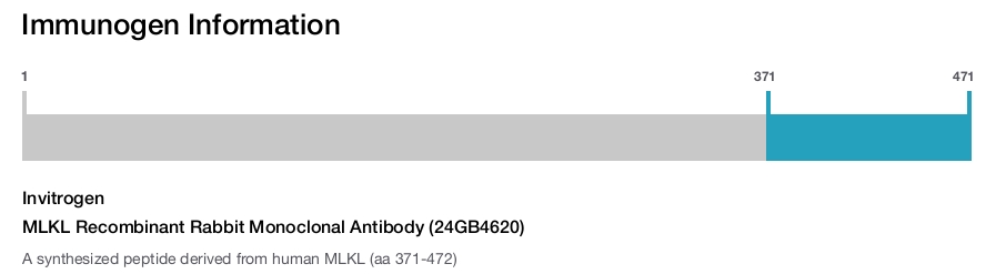MLKL Recombinant Rabbit Monoclonal Antibody (24GB4620)