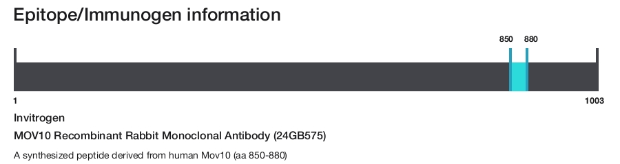 MOV10 Recombinant Rabbit Monoclonal Antibody (24GB575)