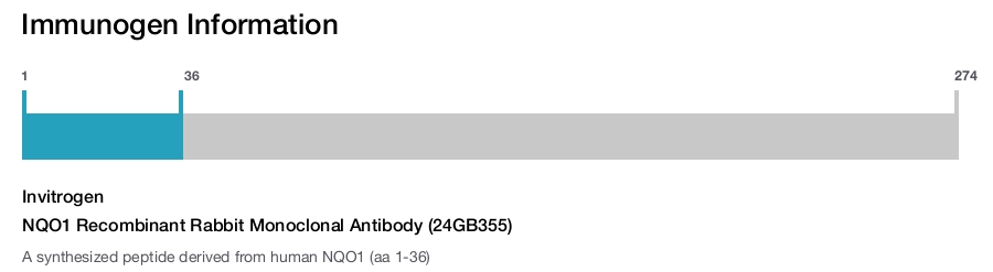 NQO1 Recombinant Rabbit Monoclonal Antibody (24GB355)