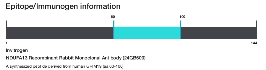 NDUFA13 Recombinant Rabbit Monoclonal Antibody (24GB600)