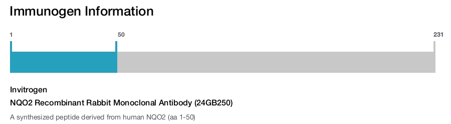 NQO2 Recombinant Rabbit Monoclonal Antibody (24GB250)