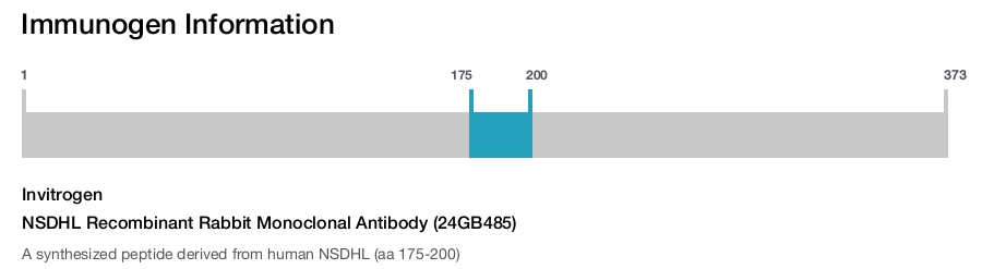 NSDHL Recombinant Rabbit Monoclonal Antibody (24GB485)