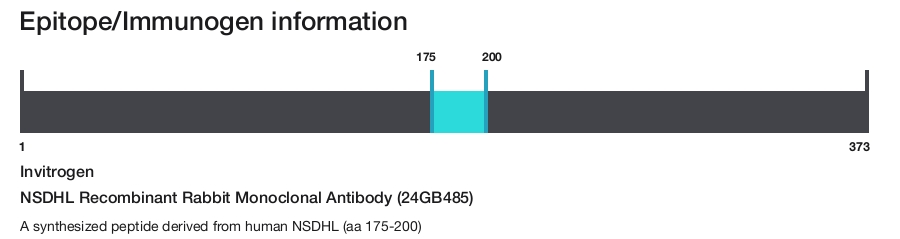 NSDHL Recombinant Rabbit Monoclonal Antibody (24GB485)