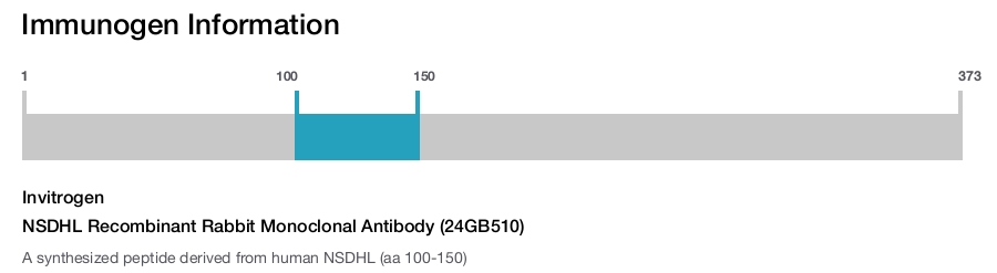 NSDHL Recombinant Rabbit Monoclonal Antibody (24GB510)