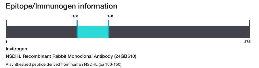 NSDHL Recombinant Rabbit Monoclonal Antibody (24GB510)