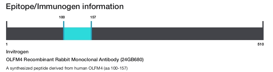 OLFM4 Recombinant Rabbit Monoclonal Antibody (24GB680)