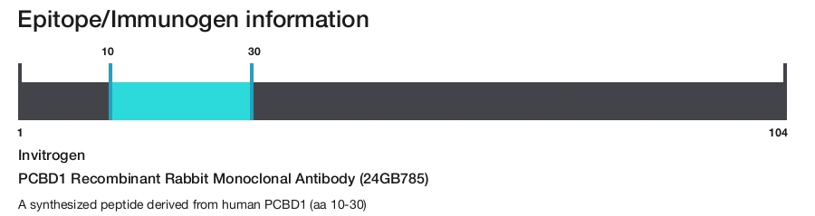 PCBD1 Recombinant Rabbit Monoclonal Antibody (24GB785)