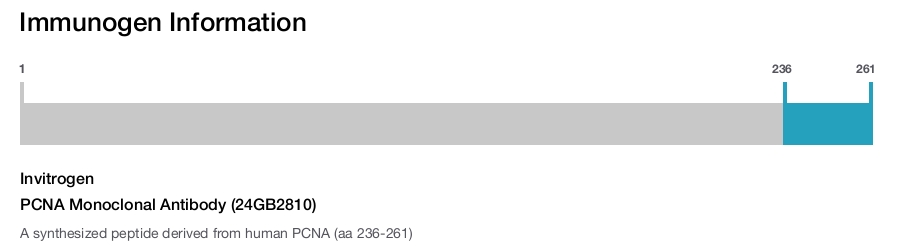 PCNA Monoclonal Antibody (24GB2810)