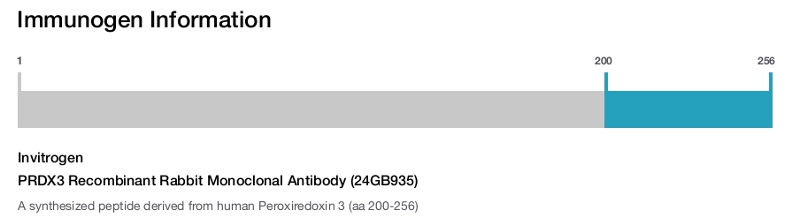 PRDX3 Recombinant Rabbit Monoclonal Antibody (24GB935)